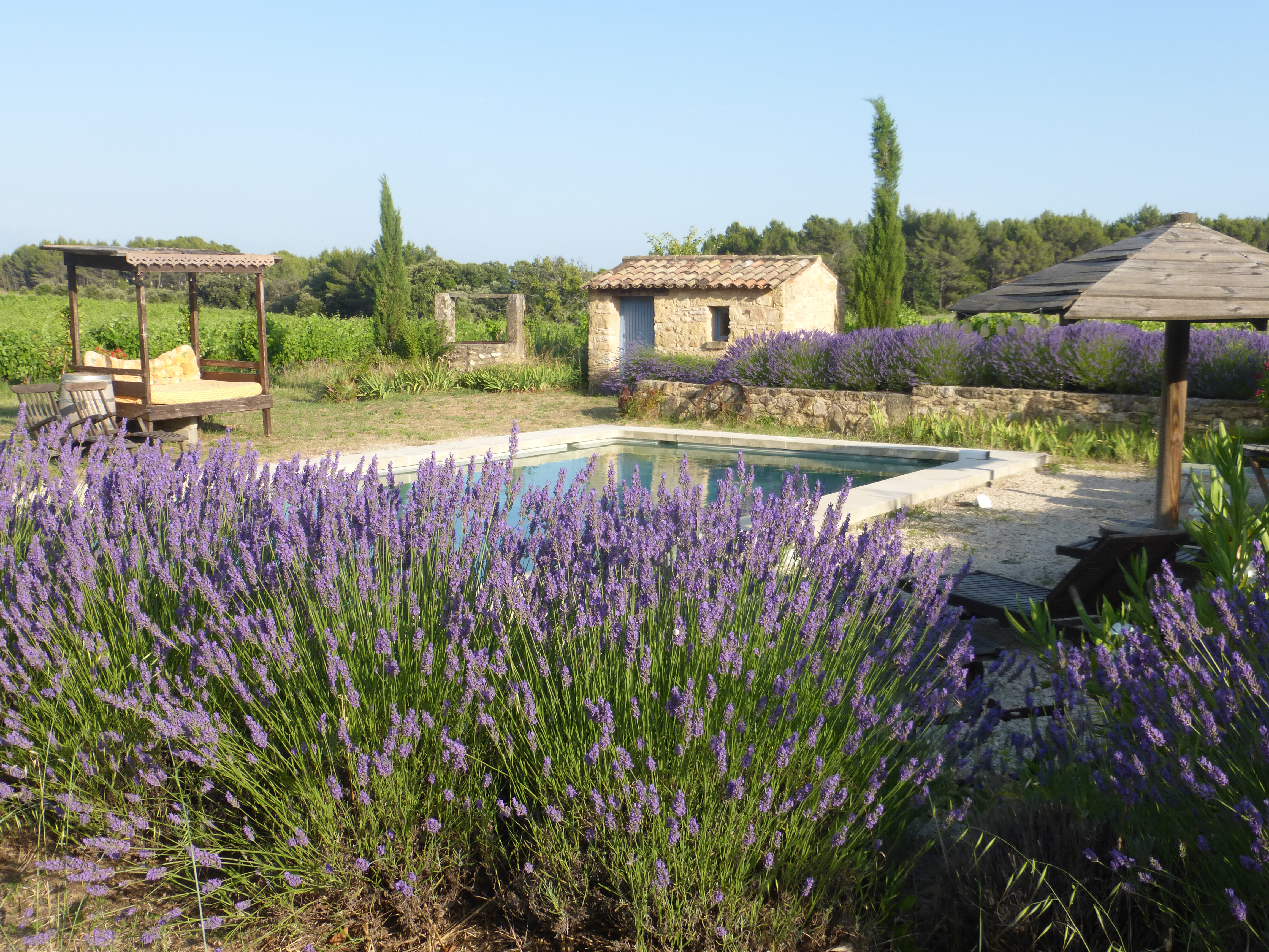 Domaine du Coffre - Gîte des Oliviers, Pertuis - photo 11