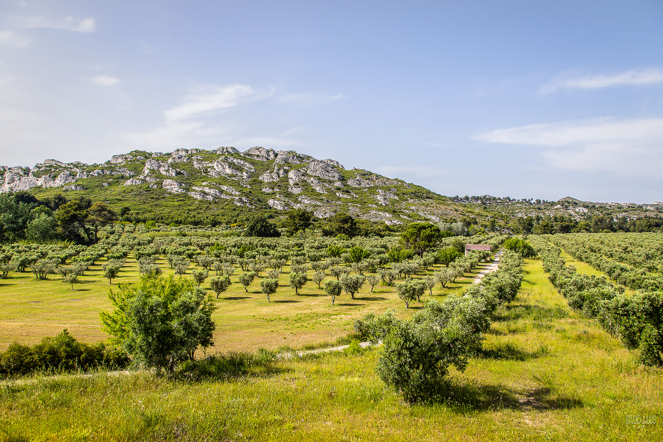 Oppidum des Caisses de Jean-Jean