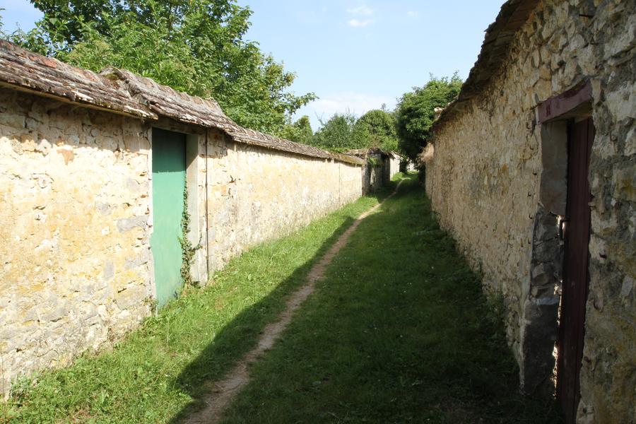 Murs à vigne à Thomery