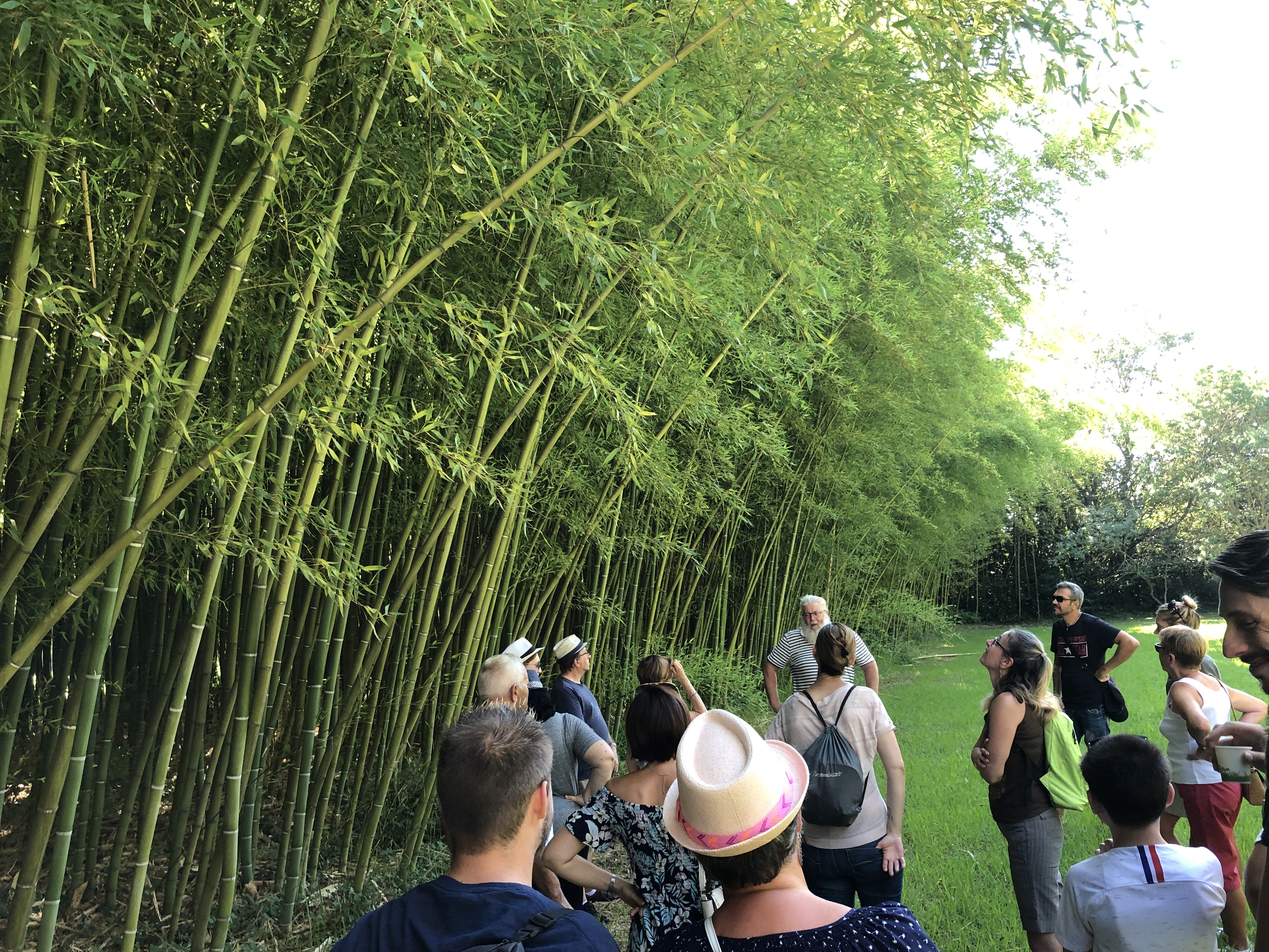 La Bambouseraie de Sulauze - Côté Réception