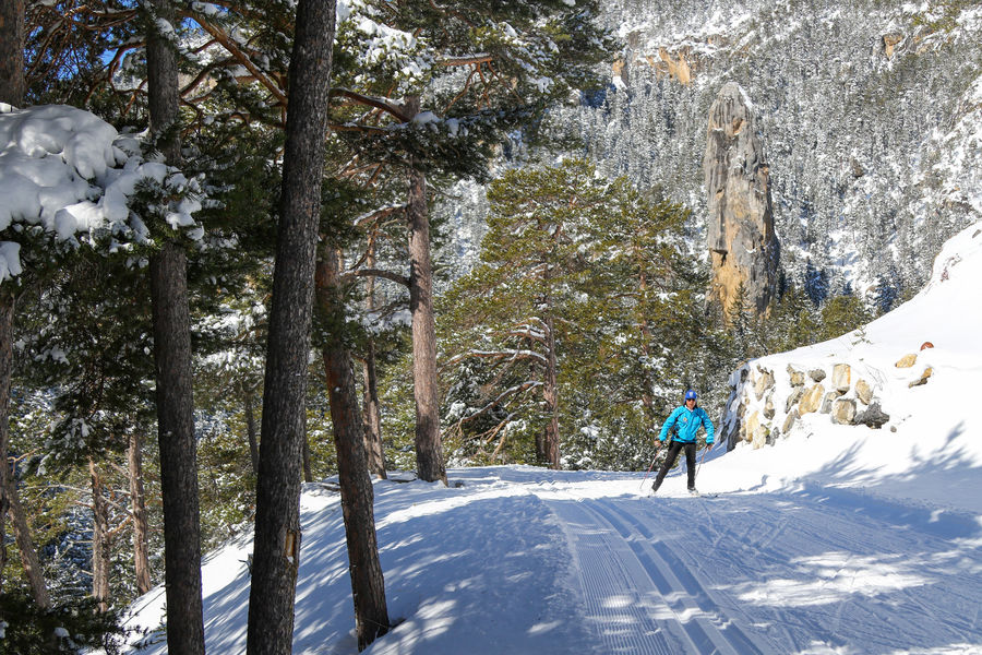 Forêt du monolithe à Val Cenis-Sardières