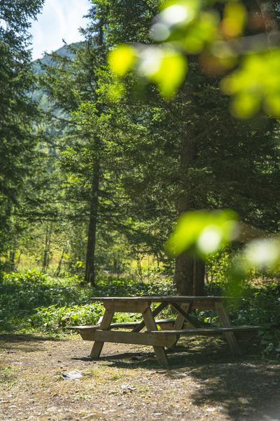 Champagny-en-Vanoise : Promenade confort  : Promenade des Gorzderés