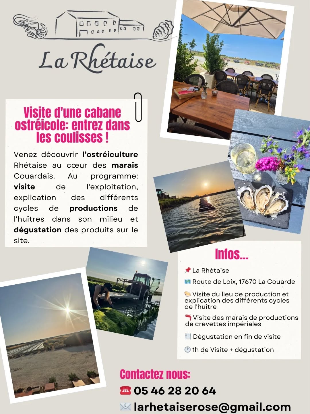 Visite d'une exploitation ostréicole au cœur des marais