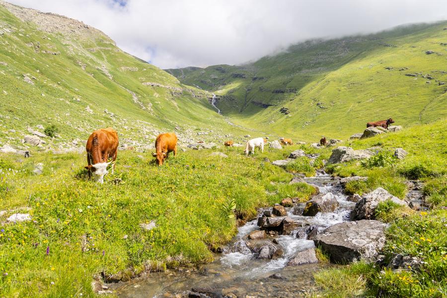 Boucle des Chalets du Vallon - Itinérance pédestre en 2 ou 3 jours_Valloire