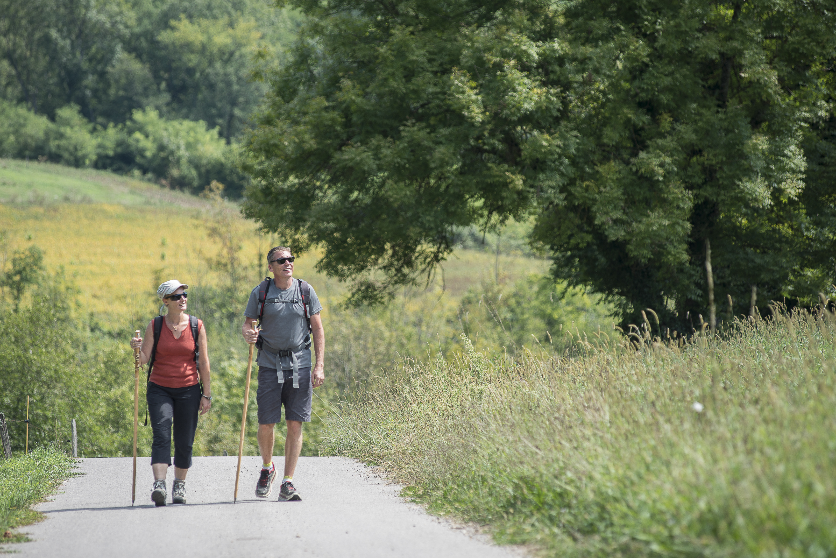 Les chemins de Compostelle » Vacances - Arts- Guides Voyages