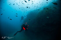 Be Free to Dive - Villeneuve-Loubet