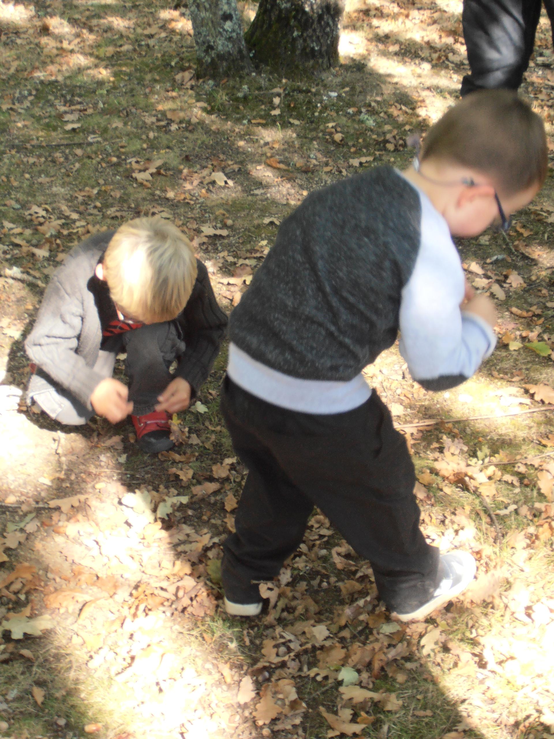 Mercredi nature compostage