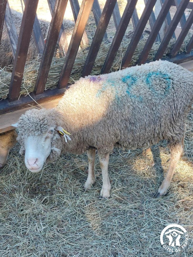 Mas Petite Provence - Lou Pastre, Aureille - photo 8