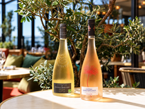 Olea_Villeneuve-Loubet