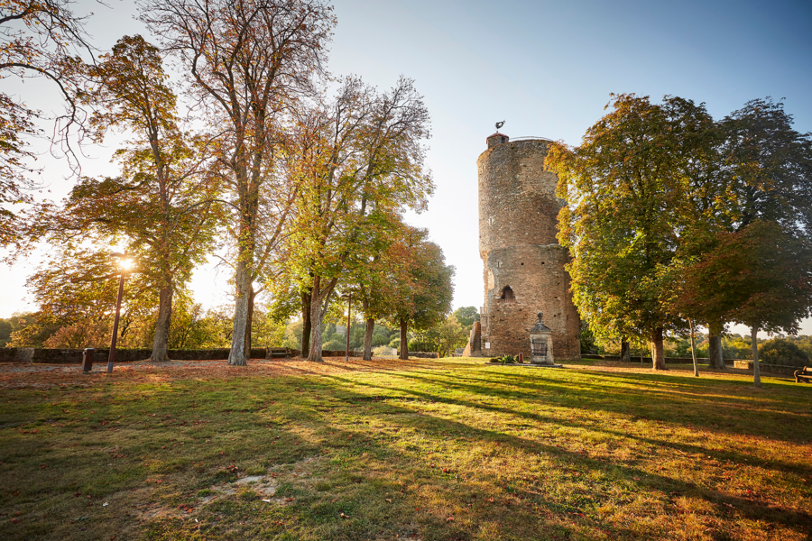 Photo Tour Mélusine Vouvant