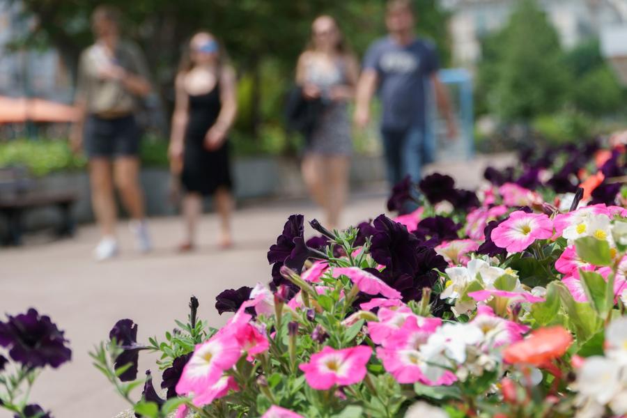 Promenade des quais 2