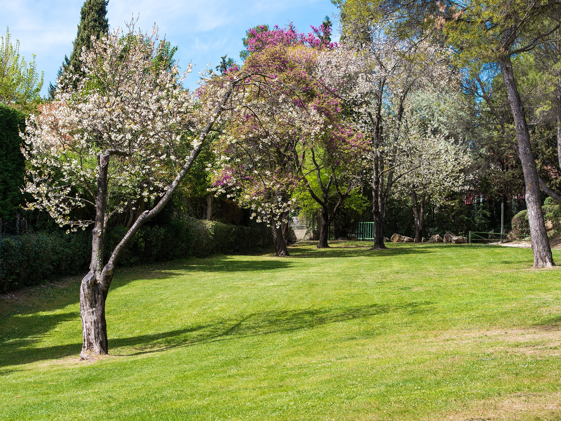 Parc des Collines de Cuques — photo 3