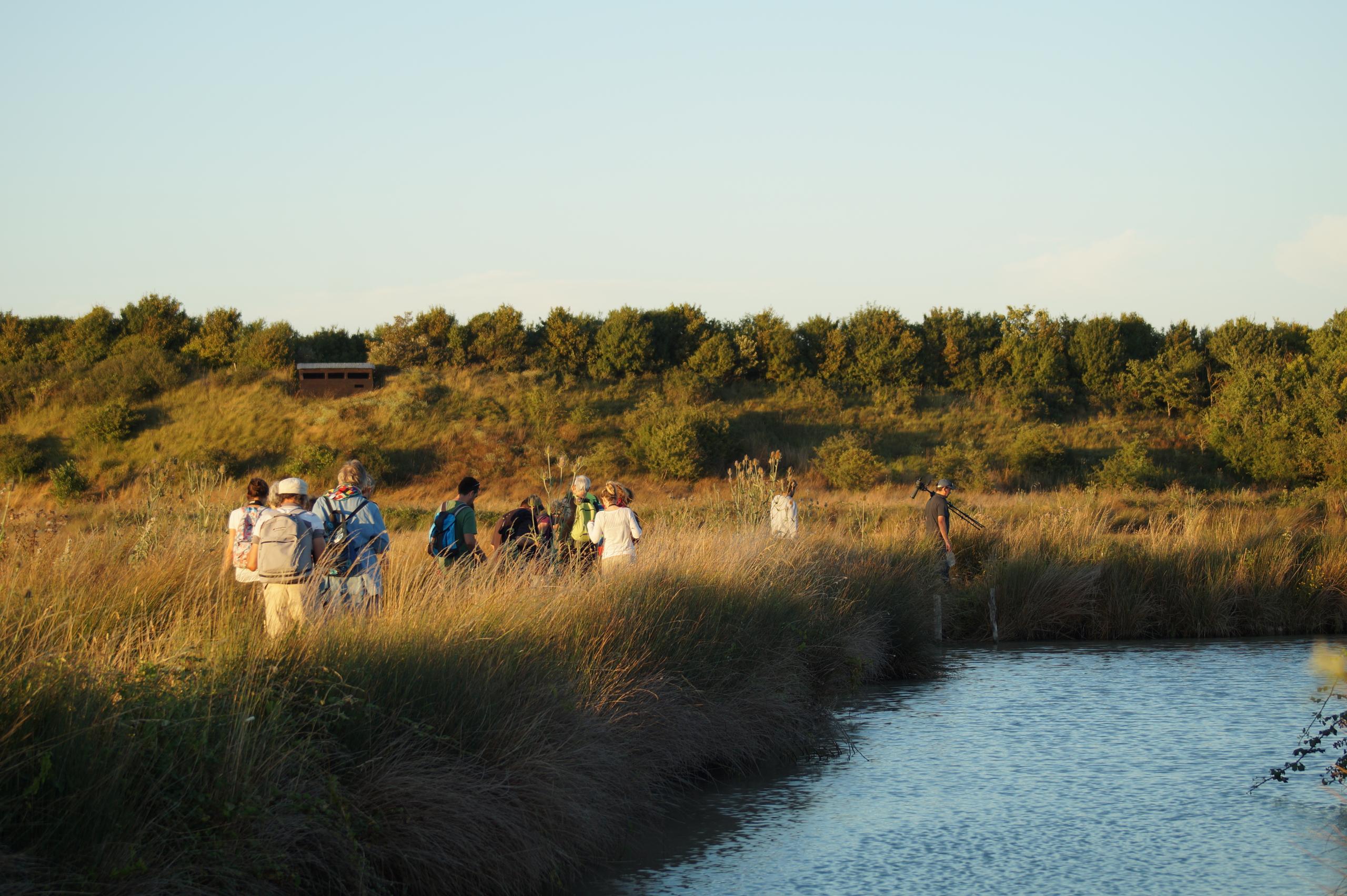 Sortie crépusculaire