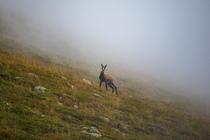 Le Pari - Film documentaire en présence du réalisateur_Auris-en-Oisans