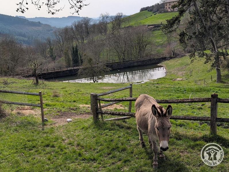 Grand Gîte - 15 personnes - \