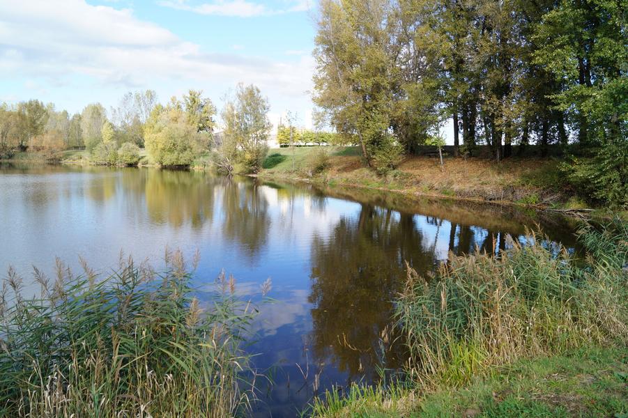 Rando guidée au fil du fleuve Loire : Rivas / Montrond-les-Bains_Rivas