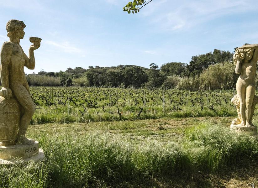 Visite guidée : Les Embiez, l'île au trésor anisé_Six-Fours-les-Plages