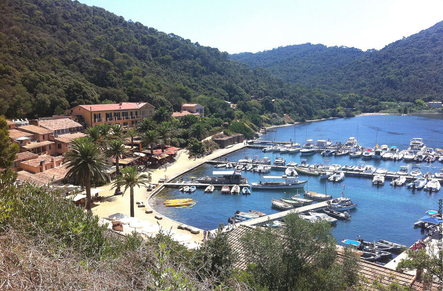 Une journée sur l'île de Port-Cros au départ de La Londe les Maures