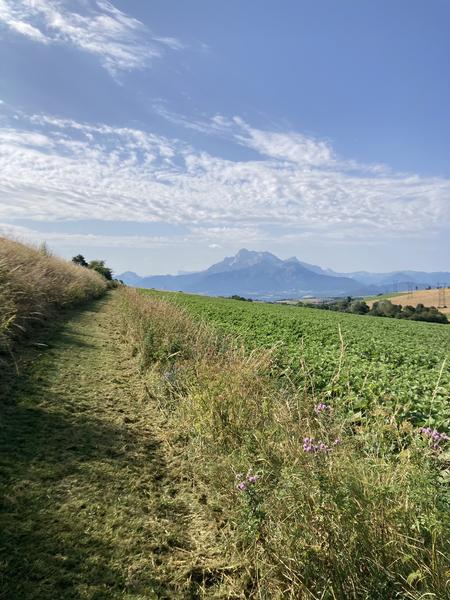 Les Serres offrant une vue panoramique
