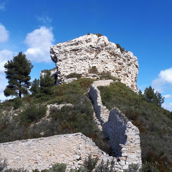 Clôture de la Forbine