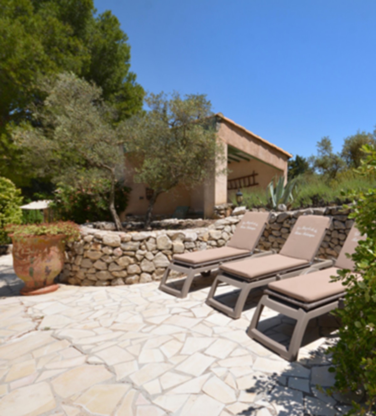 Le Figuier - photo 3