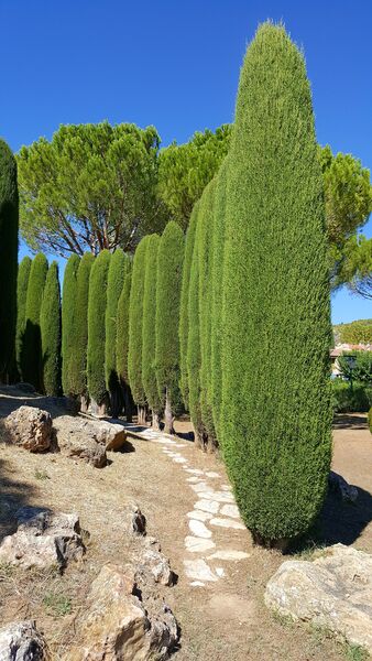 Théâtre de verdure