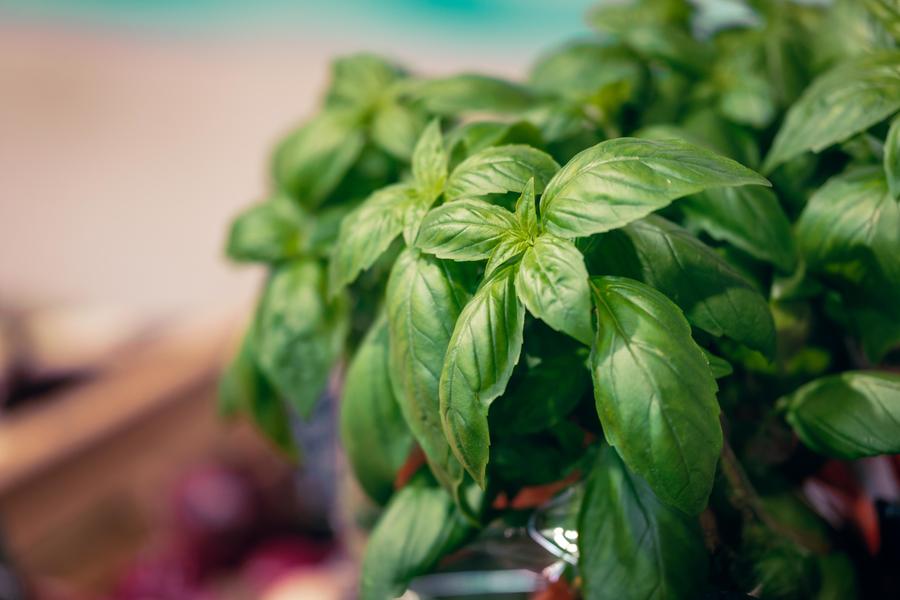 Marché hebdomadaire du Monêtier - Eté