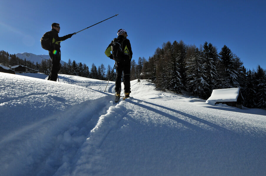 Itinéraire ski de randonnée : Les Coches - Plan Bois