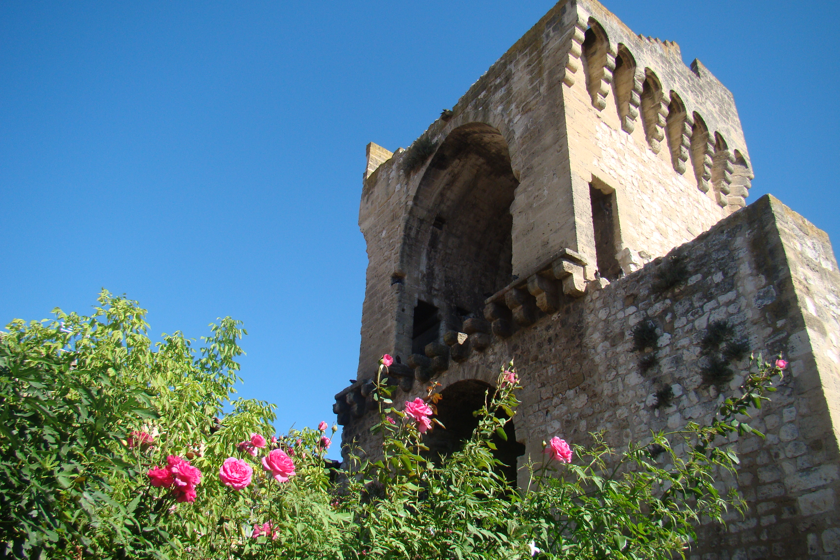 La Tour Saint-Jacques, Pertuis - photo 3