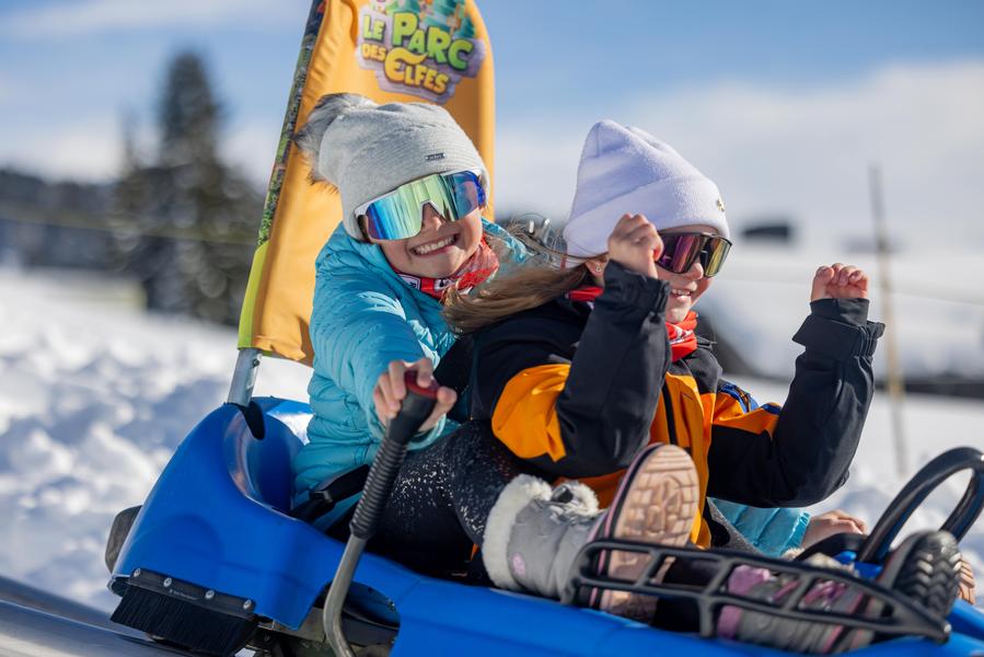 Mountain Twister_Les Saisies