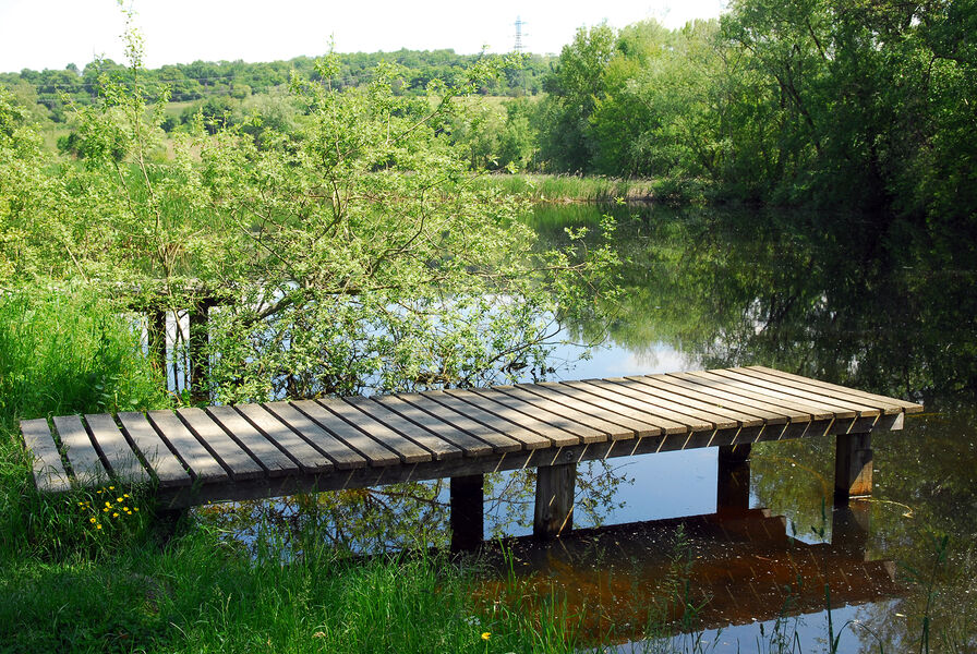 Réserve naturelle régionale de Haute-Jarrie