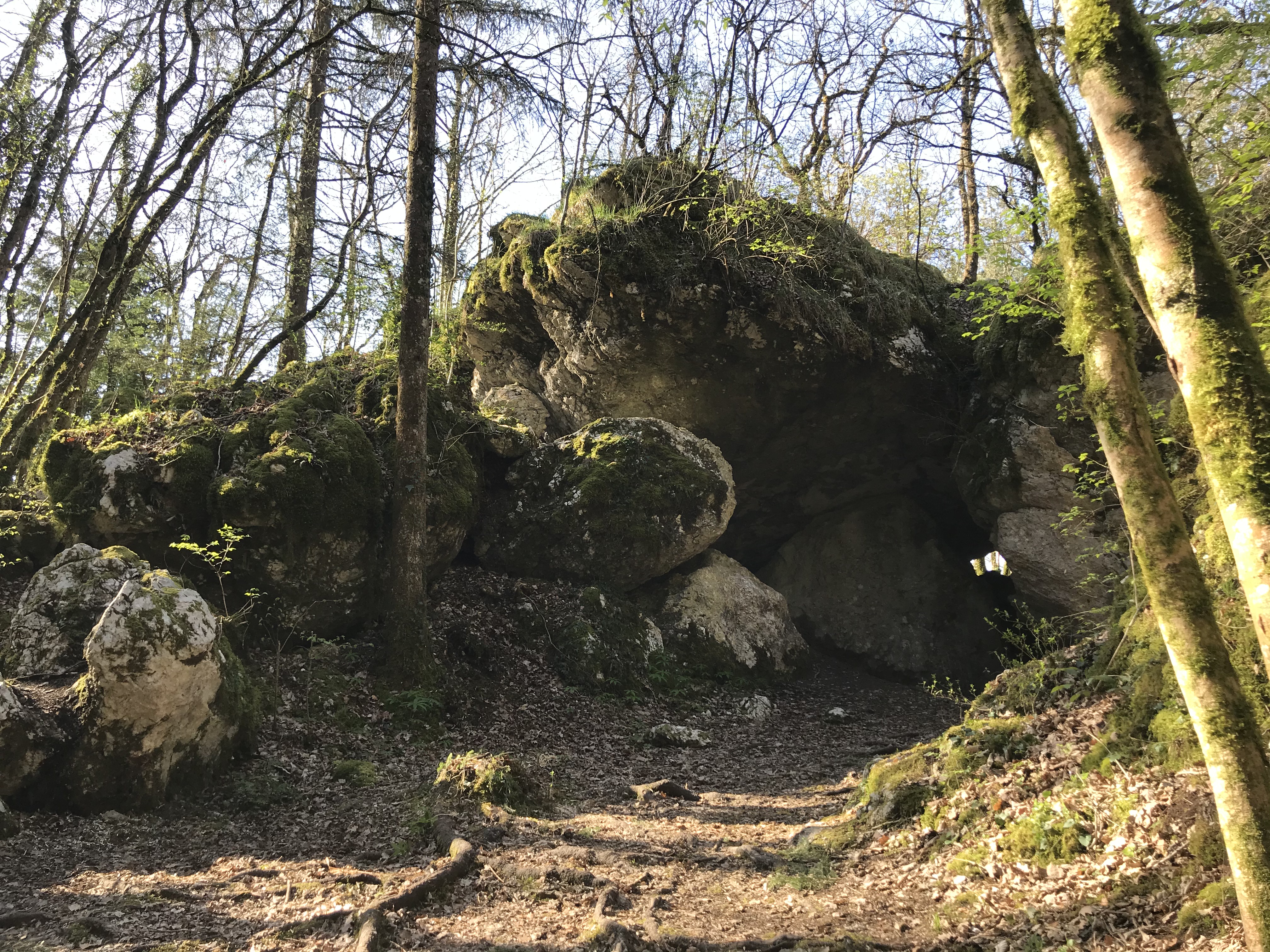 Balade ressourçante - Sur les traces du loup