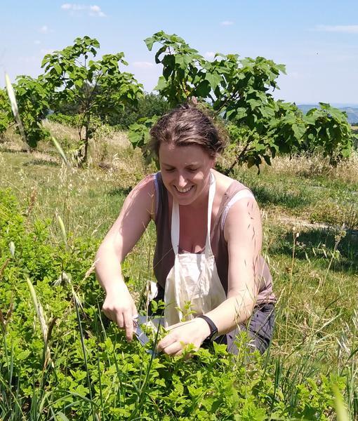 Découvrez la magie des plantes - De ferme en ferme_Tournon-sur-Rhône