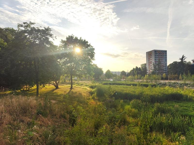 Parc de la Tuilerie 