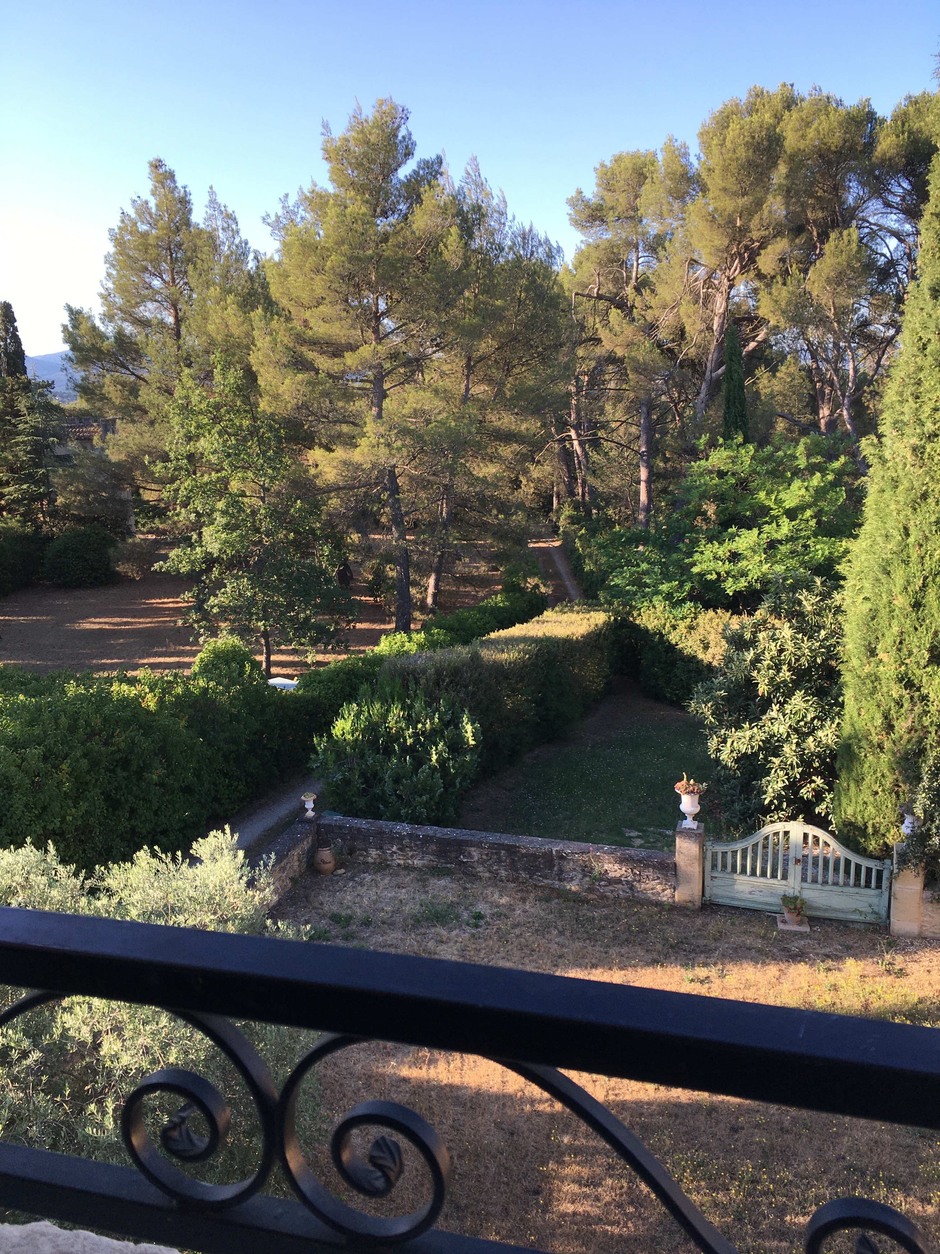 Domaine de MESSERY, Pertuis - photo 19