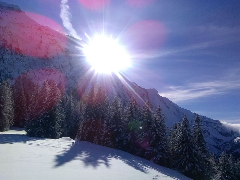 Accompagnateurs en montagne