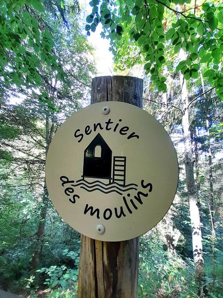 V2 - Chemin des Moulins - Départ Les Allues_Méribel