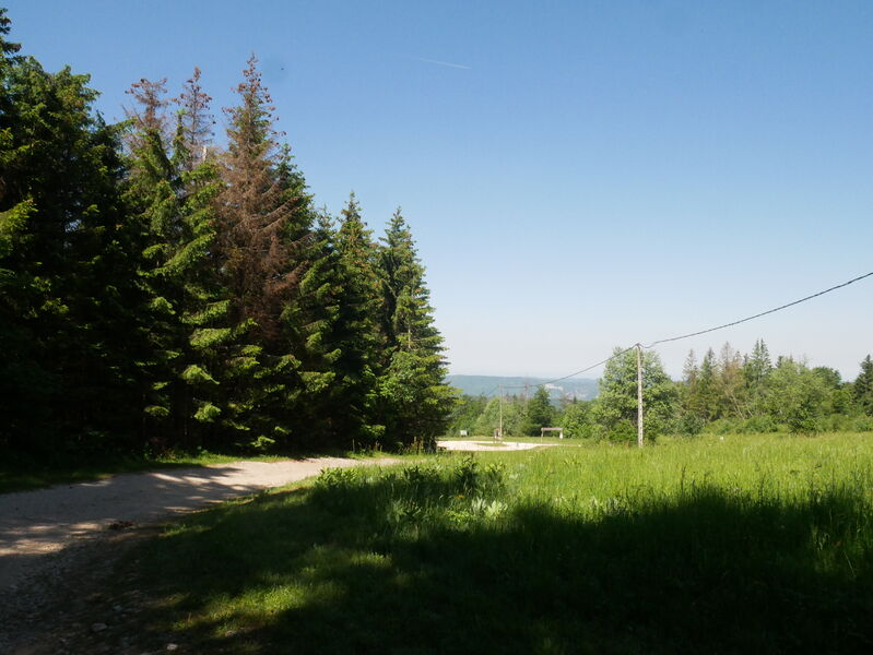 Route Belvédère de Planachat Route Belvédère de Planachat