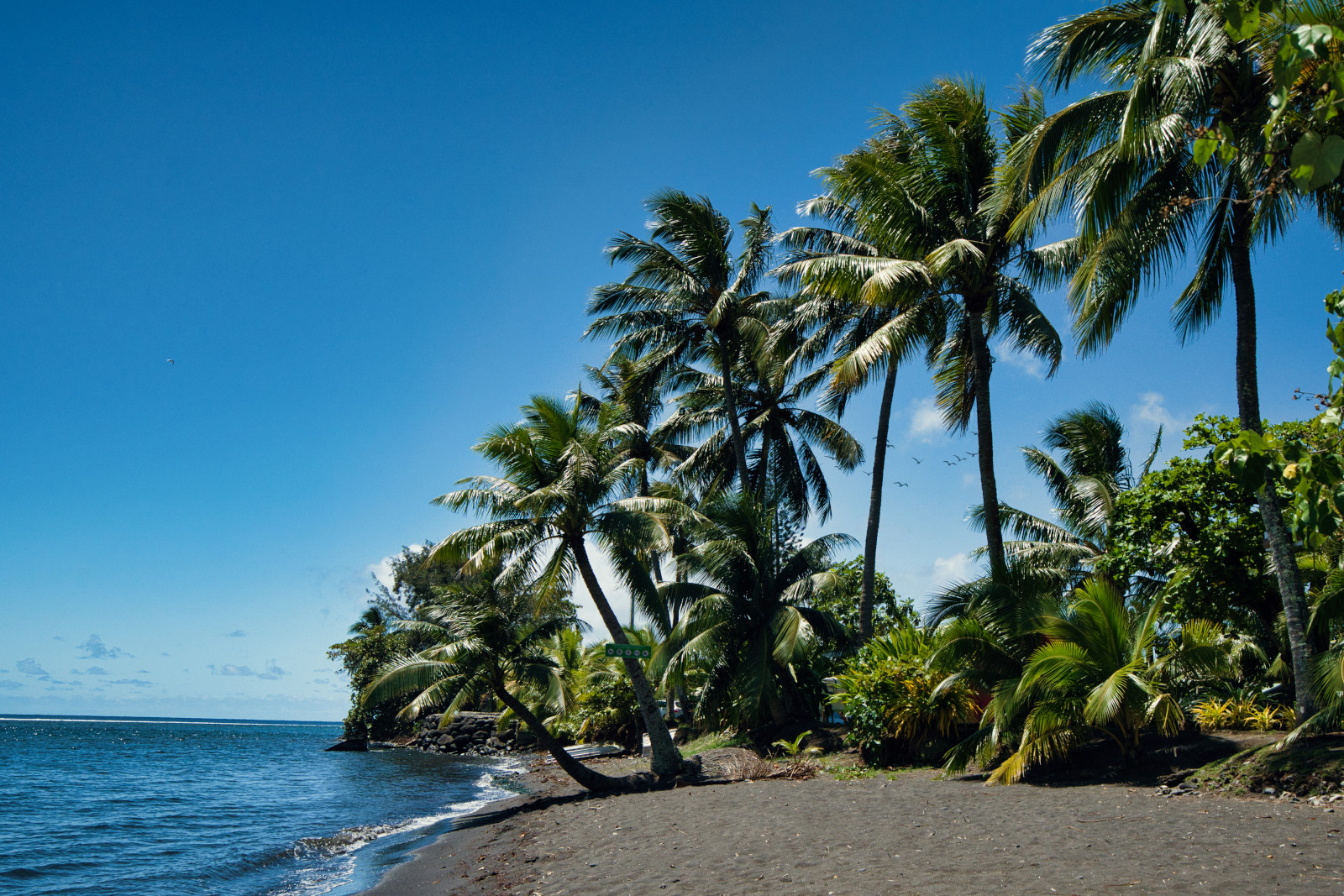 Tahiti   Pointe Tautira paysage