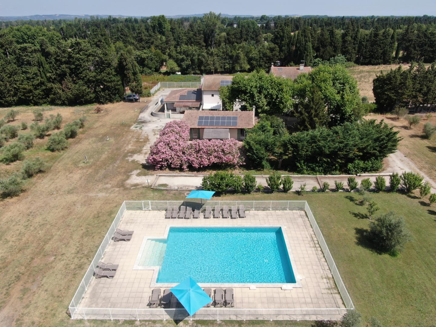 Les Alpilles, Châteaurenard - photo 27
