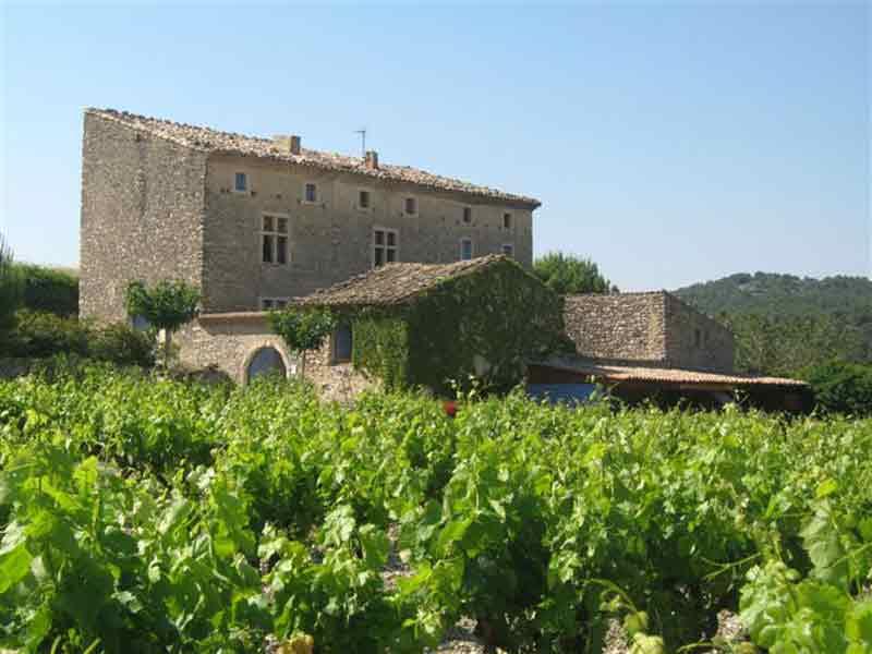 la ferme des auches
et son vignobles