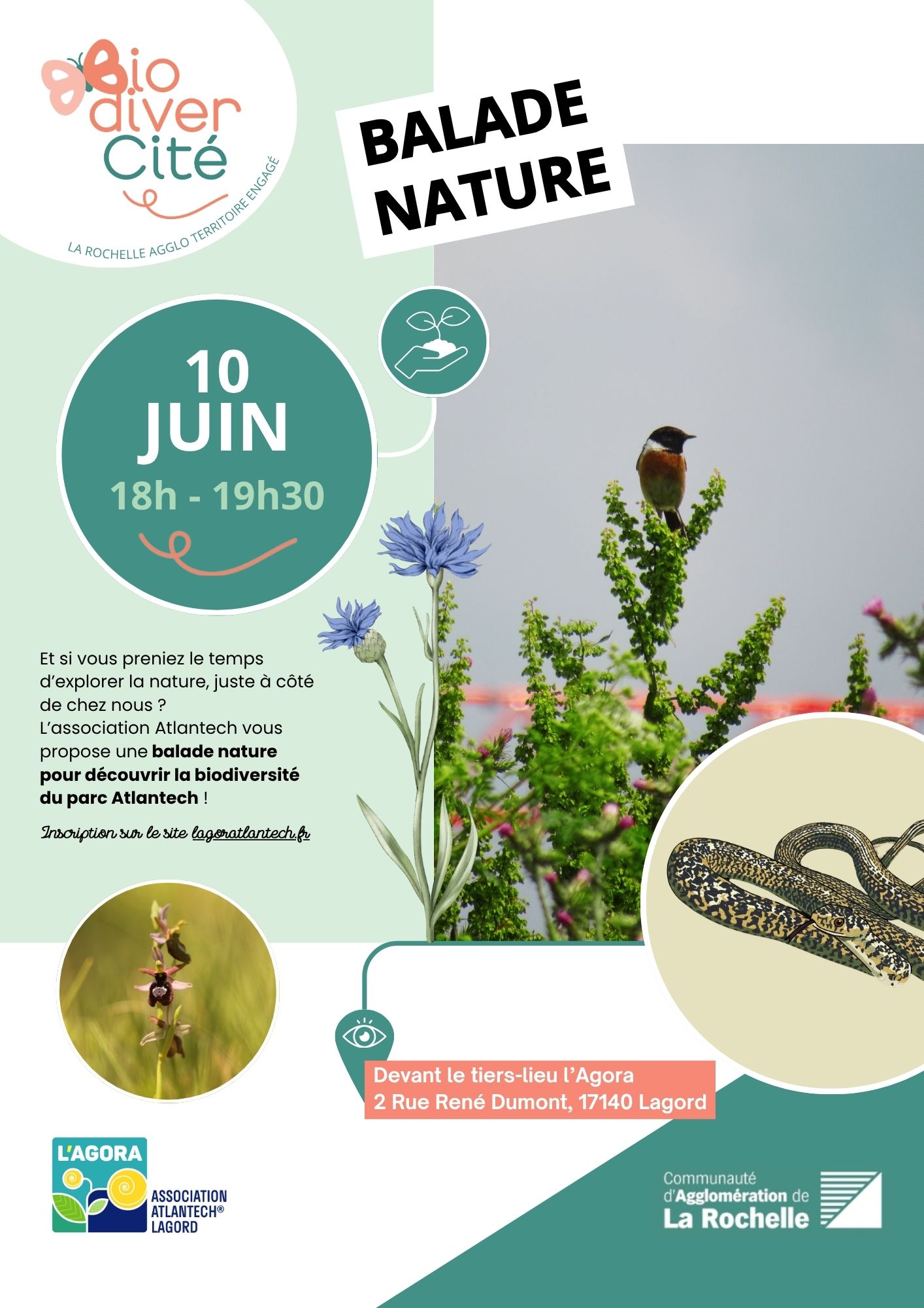 Visite - Balade nature au cœur du quartier Atlantech
