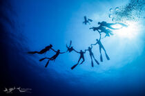 Be Free to Dive - Villeneuve-Loubet