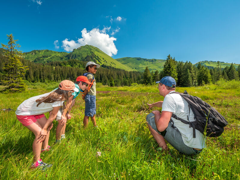 Tourbière de Sommand