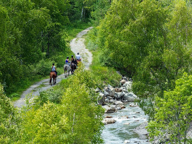 Les écuries du Val d'Allos