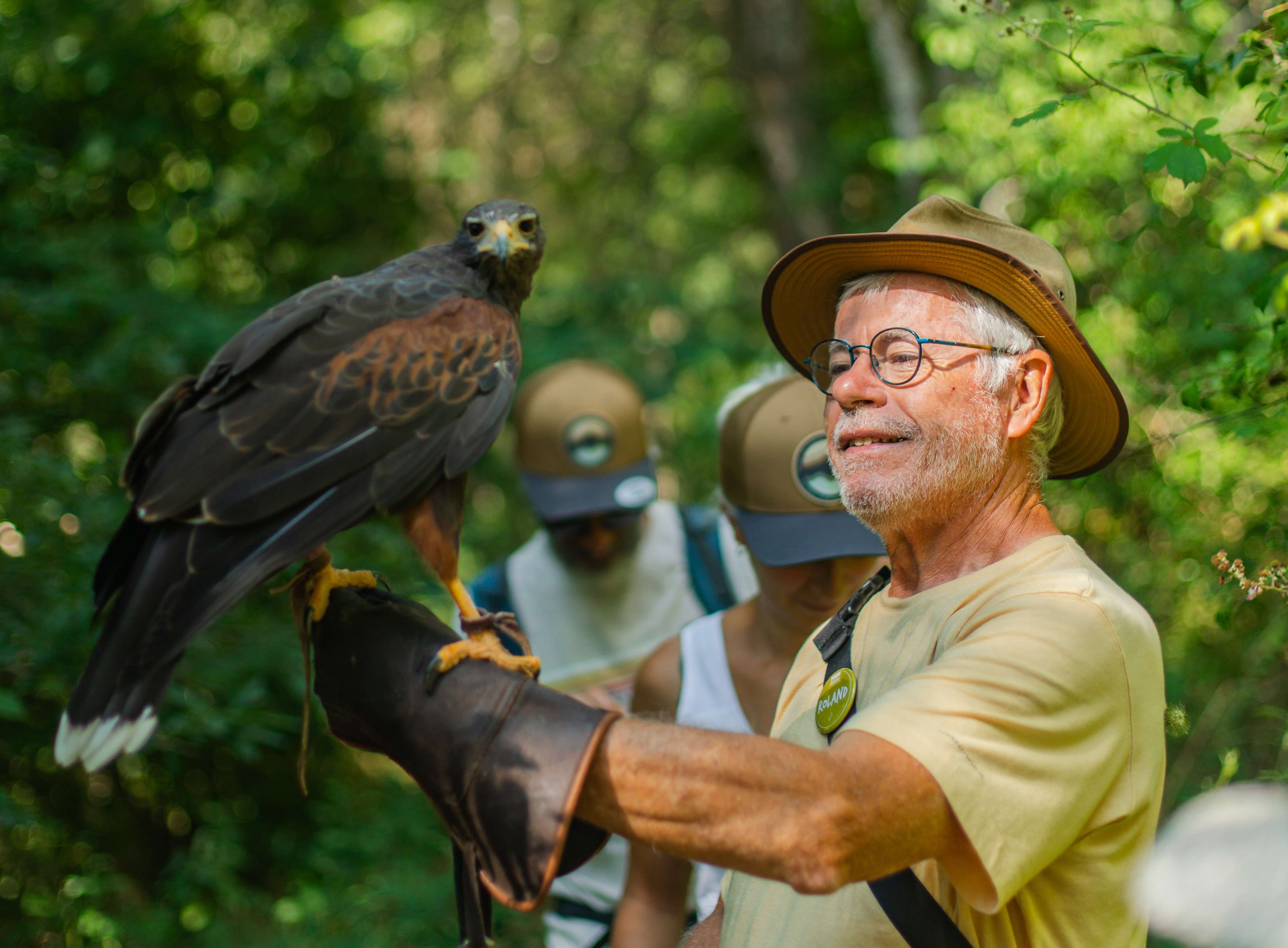 Balade en compagnie d'un rapace