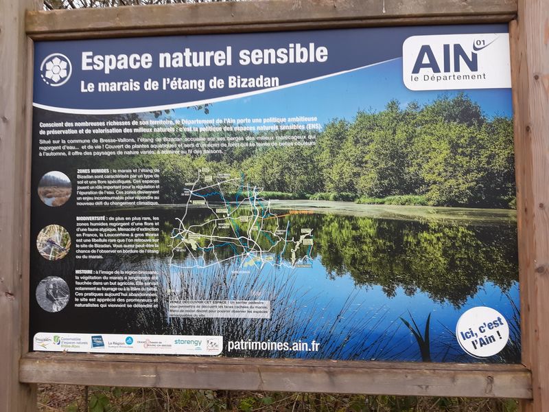 Bresse Vallons - Etangs de Bizadan et de But - Voie royale