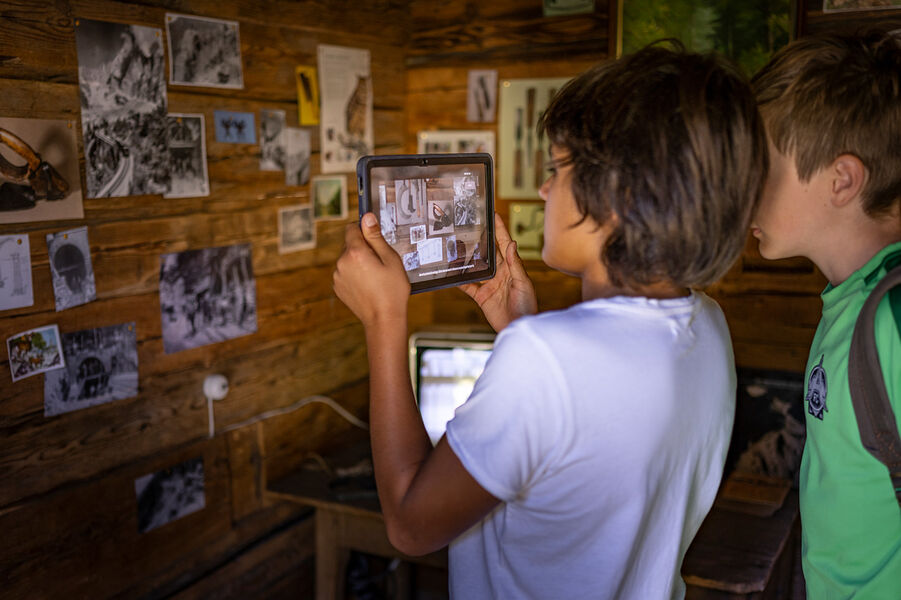 escape game nature 2