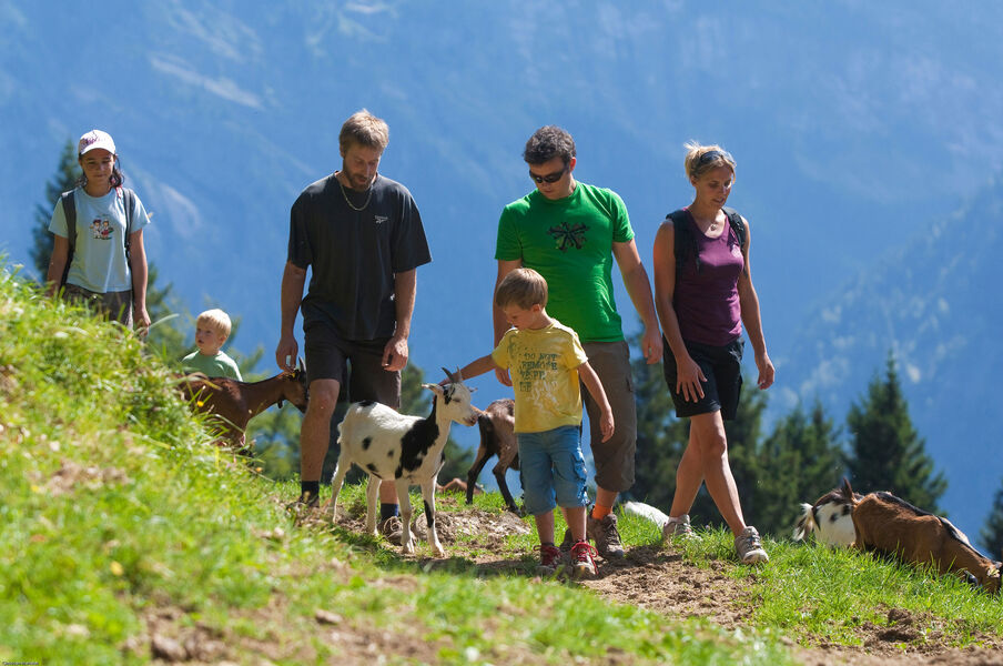 Randonnée multi-activité Safrantours