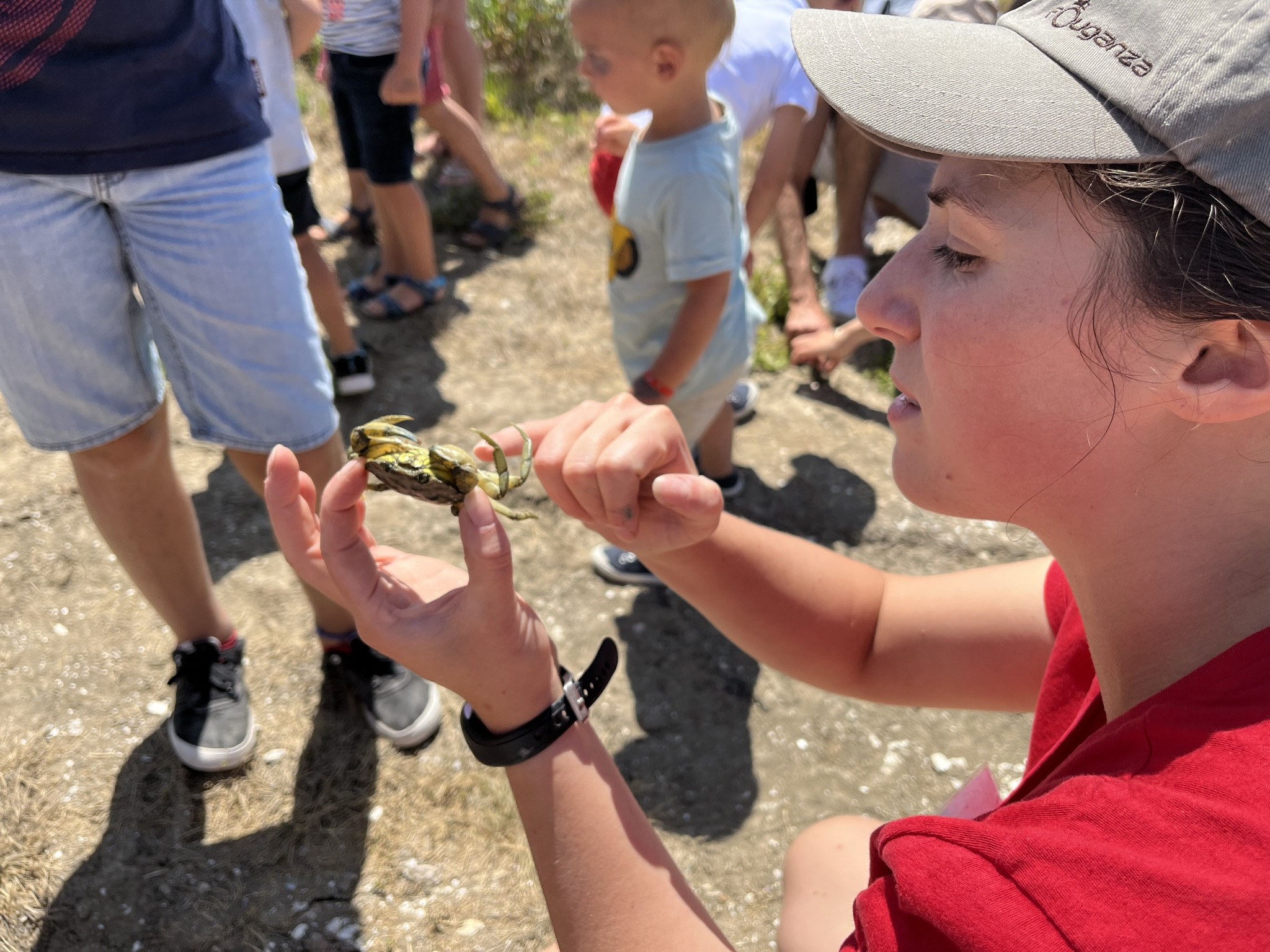 Vacances de La Toussaint  à La Cité de l'Huître
